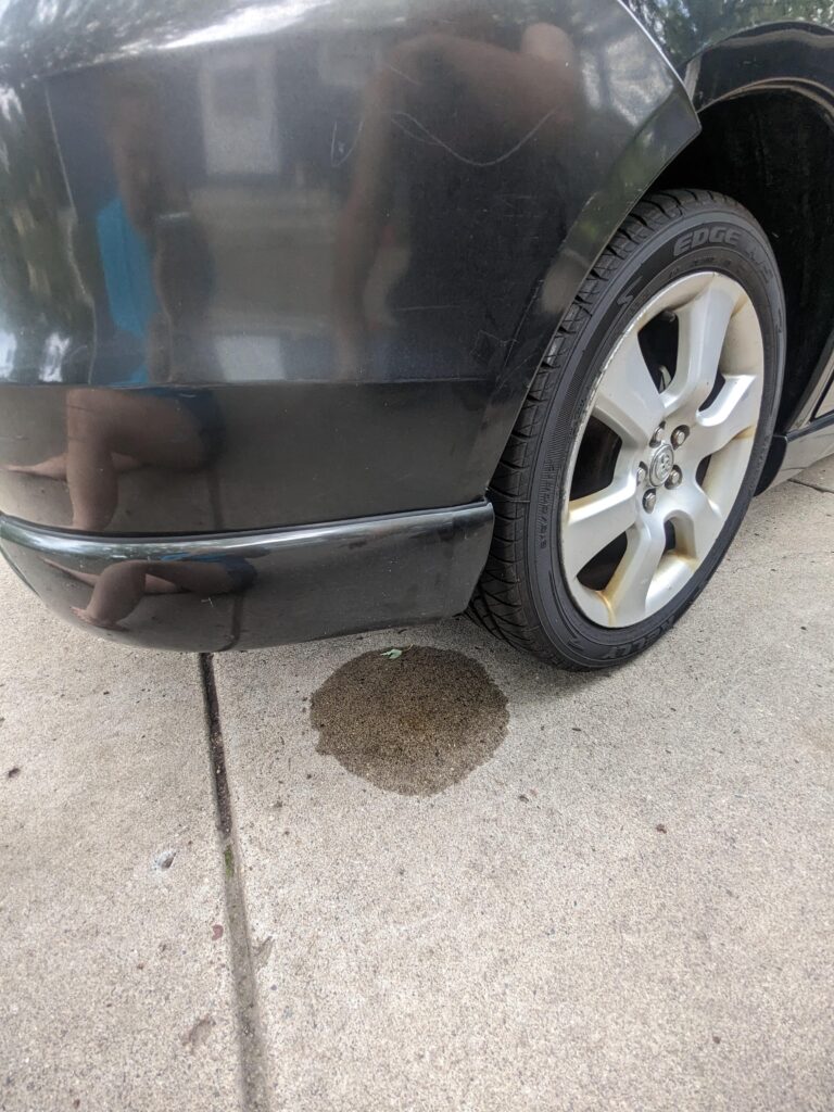 Why Is Oil Leaking From The Back End Of My Car