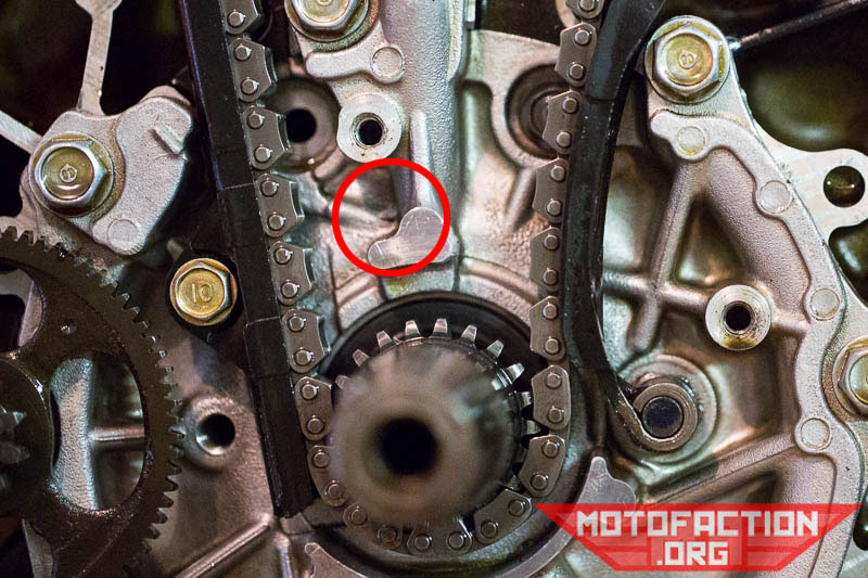 Does Oil Lubricate Timing Chain?